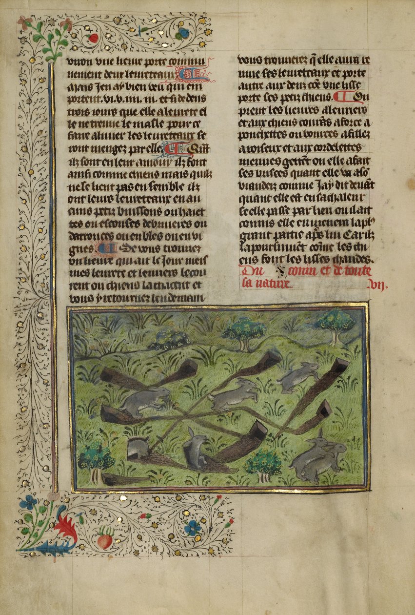 Kanit tekijältä Unknown artist