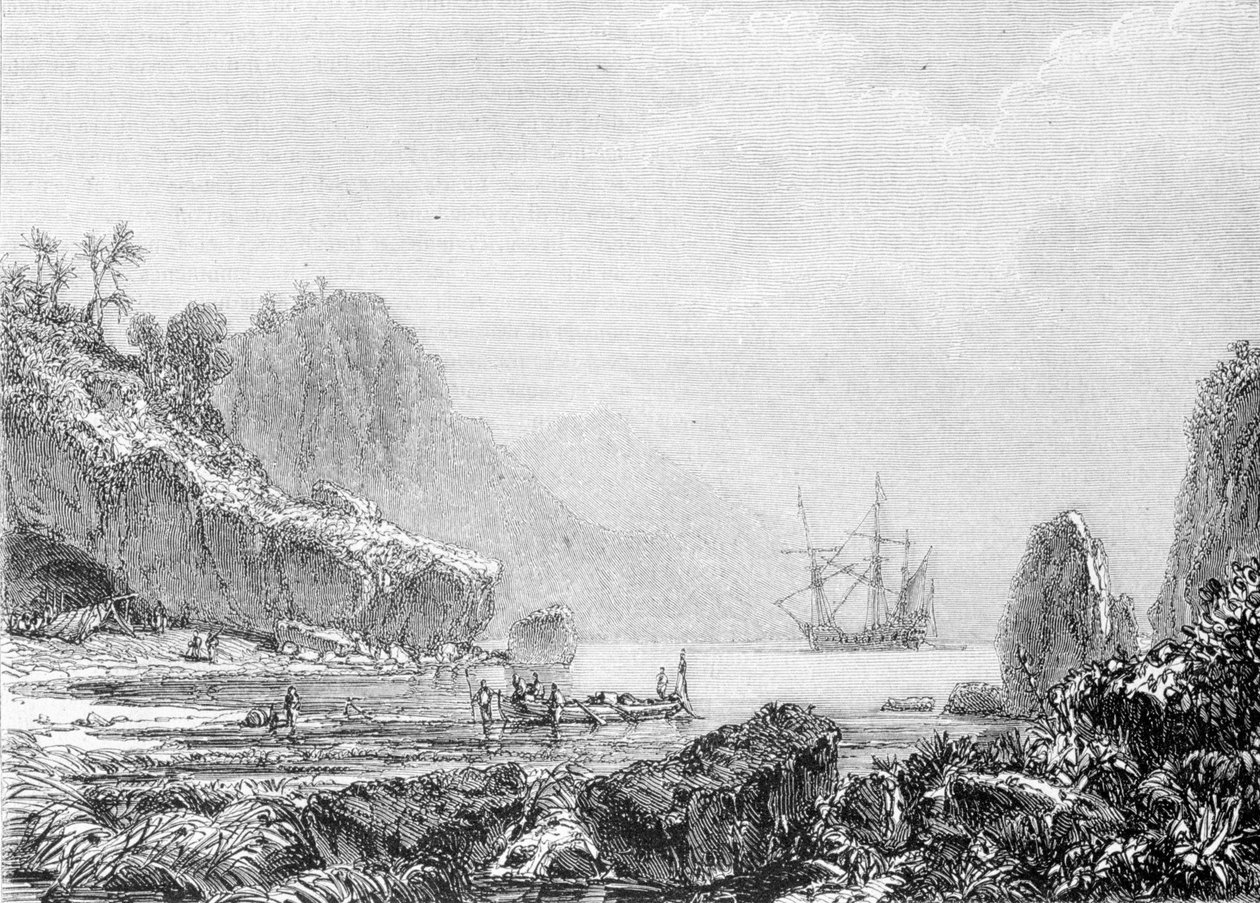 Kilpikonnasaaren edustus. Kaiverrus 1800-luvulta. tekijältä Unknown artist