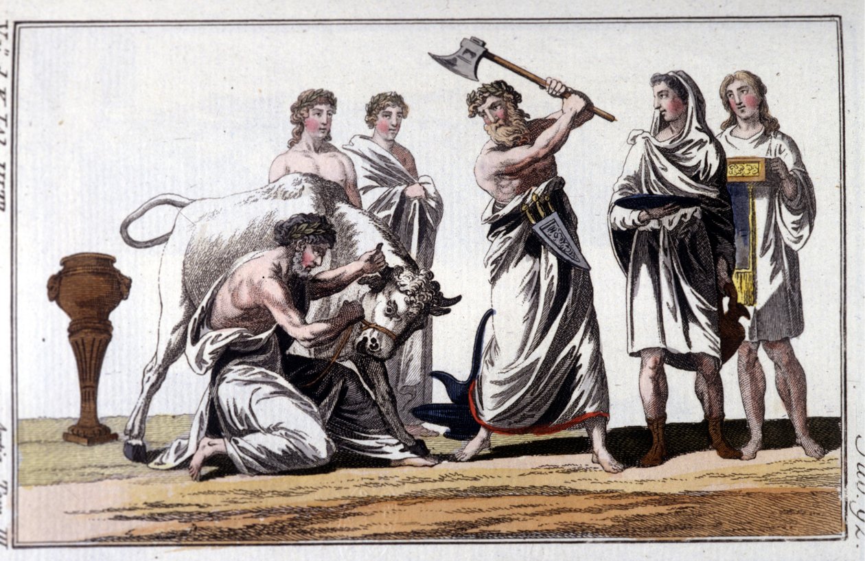 Härän uhraus kelttien keskuudessa. 1800-luvun kaiverrus. tekijältä Unknown artist