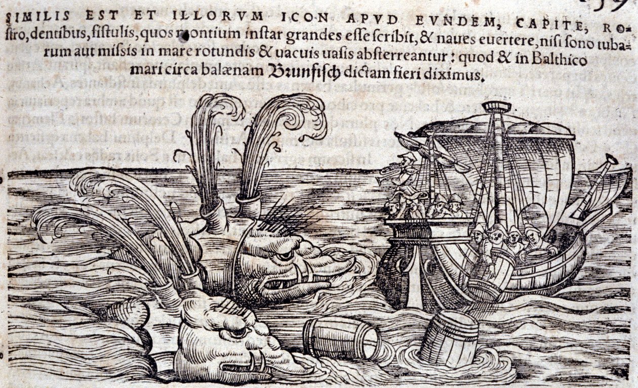 Merimiehet heittävät tynnyreitä mereen häiritäkseen takaa-ajoa olevia hirviöitä. Kaiverrus "Historia Animalium", kirjoittanut Conrad Gesner (1516-1565), Tiguri tekijältä Unknown artist
