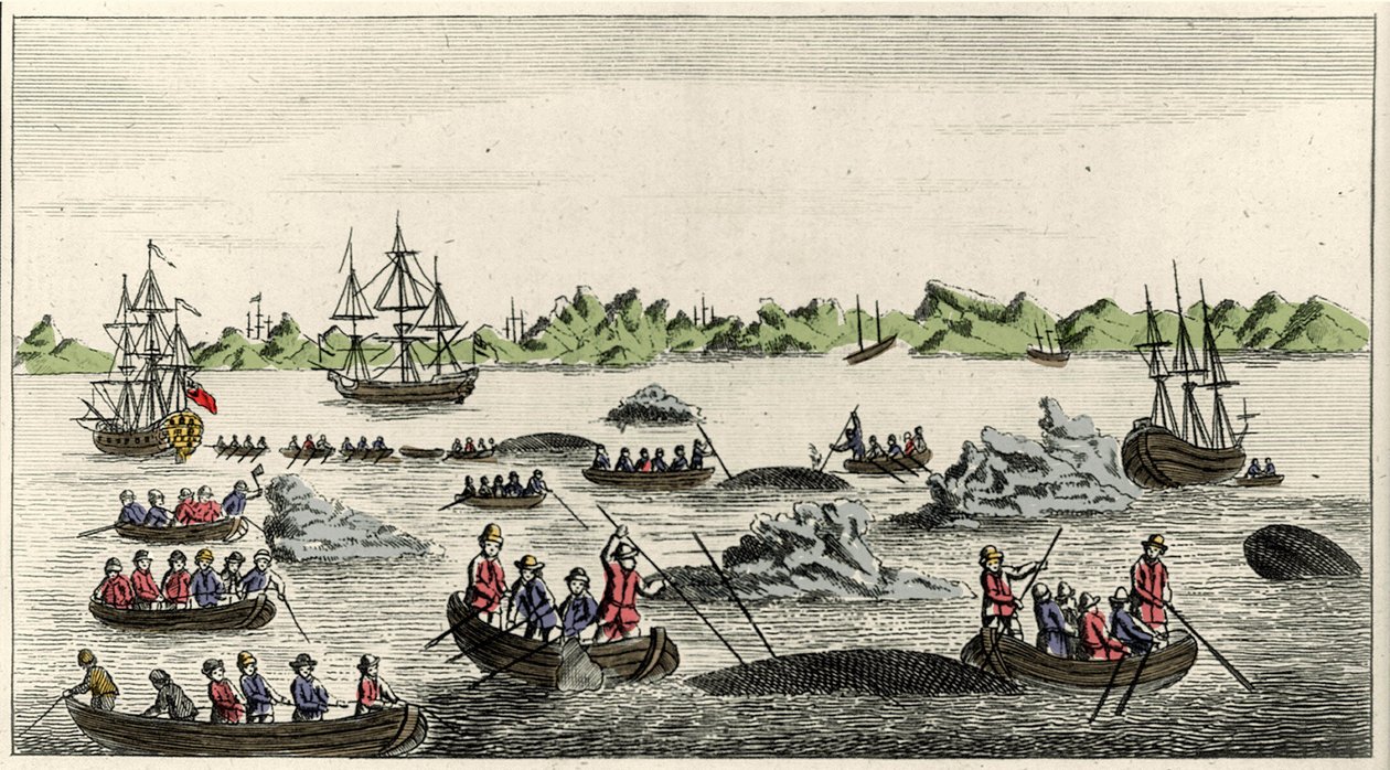 Valankalastuskohtaus Grönlannissa 1700-luvulla, nimetön suosittu printti ajalta tekijältä Unknown artist