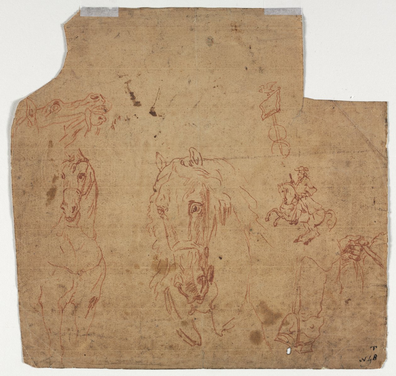 Luonnokset hevosista ja ratsastajista (recto) tekijältä Unknown artist