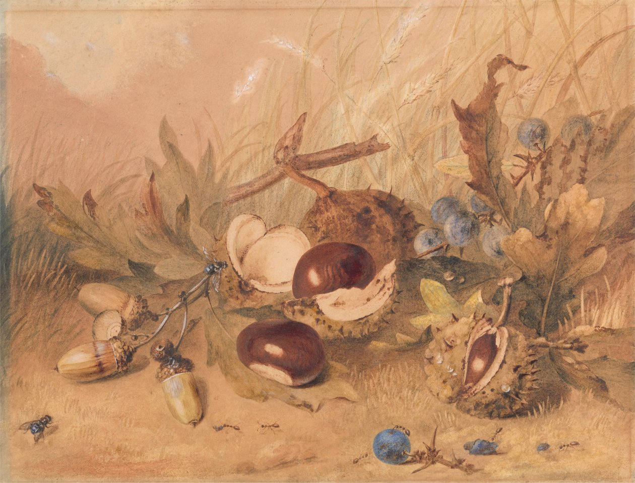 Asetelma tammenterhoilla ja hevoskastanjoilla tekijältä Unknown artist