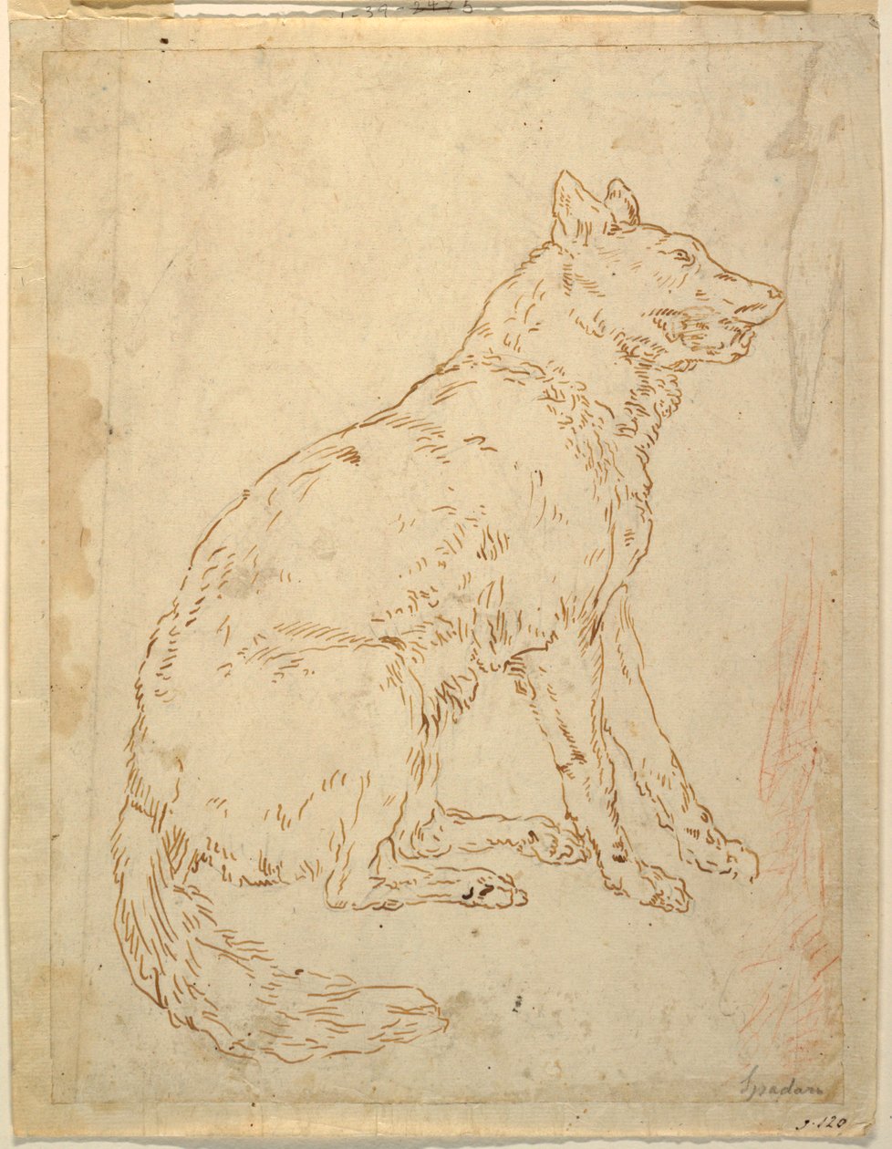 Lammaskoiran tutkimus tekijältä Unknown artist