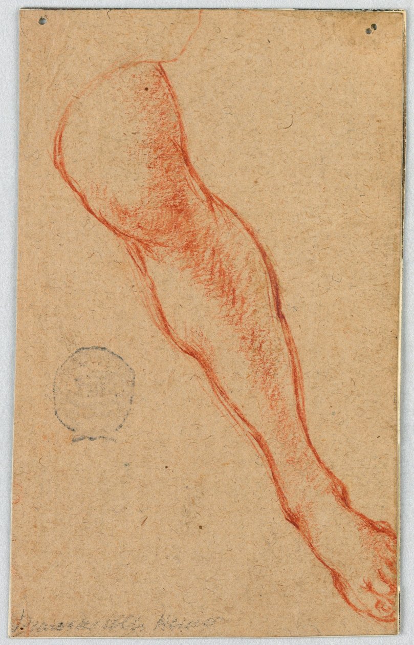 Tutkimus istuvan naisen vasemmasta jalasta tekijältä Unknown artist