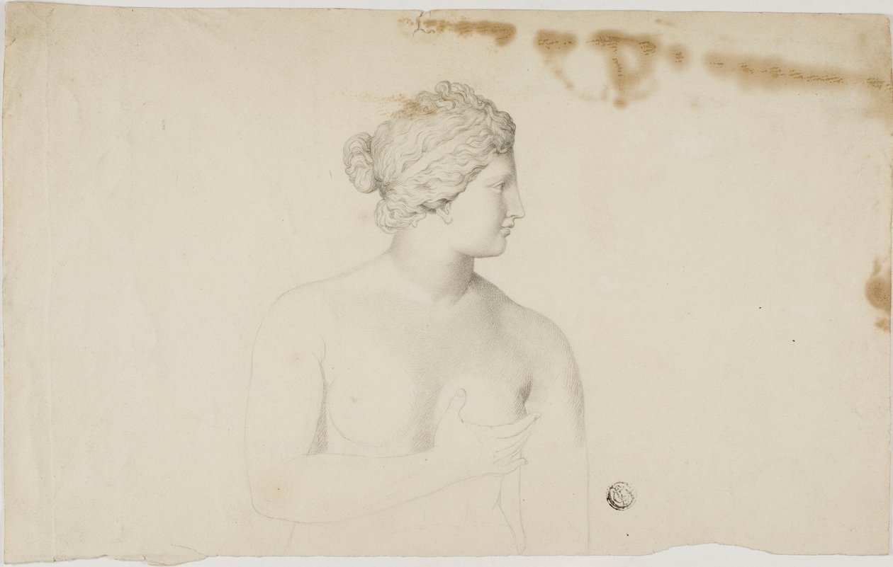 Tutkimus Medici Venuksesta tekijältä Unknown artist