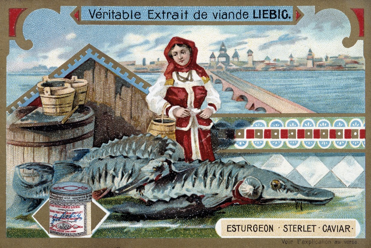 Sampi, sterletti, kaviaari, nuoren naisen kanssa kauhoissa, venäläisen kaupungin edessä - Liebig kromolitografia tekijältä Unknown artist