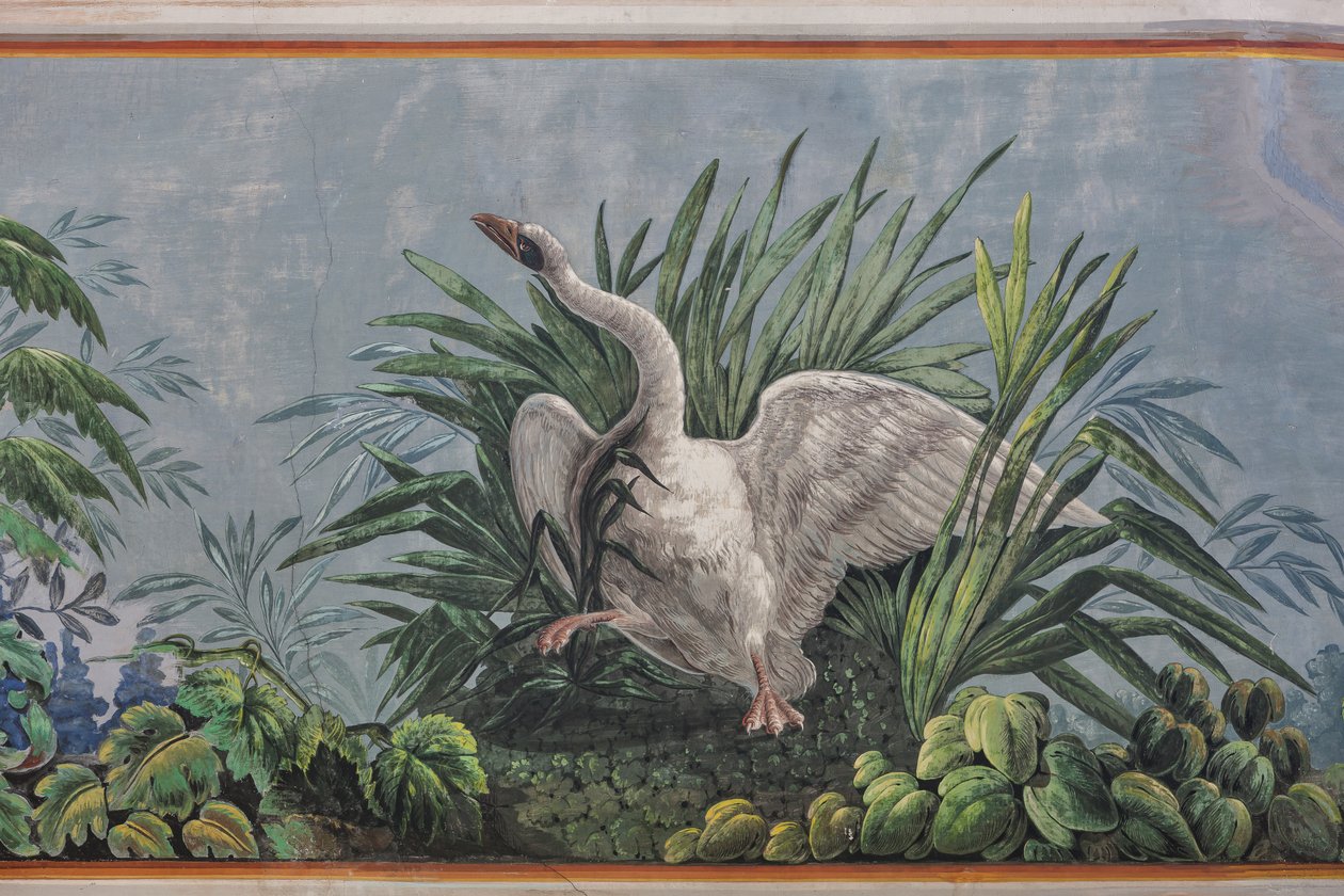 Cigne, detall de 3743687 (fresco)finlandès tekijältä Unknown artist