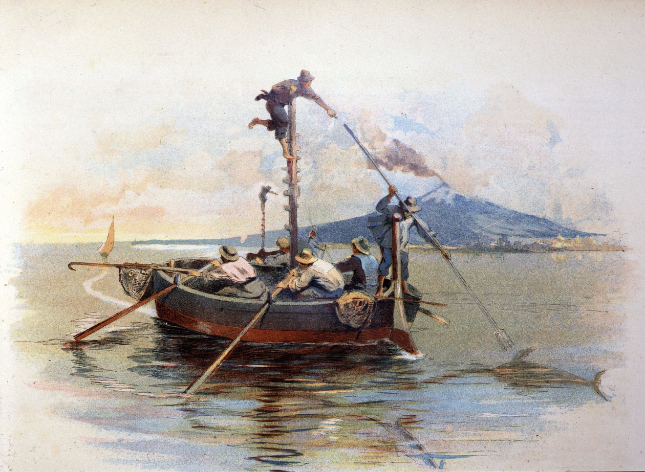 Miekkakalan harppuunakalastus Messinan Detroitissa Sisiliassa. Akvarelli 1898 tekijältä Unknown artist
