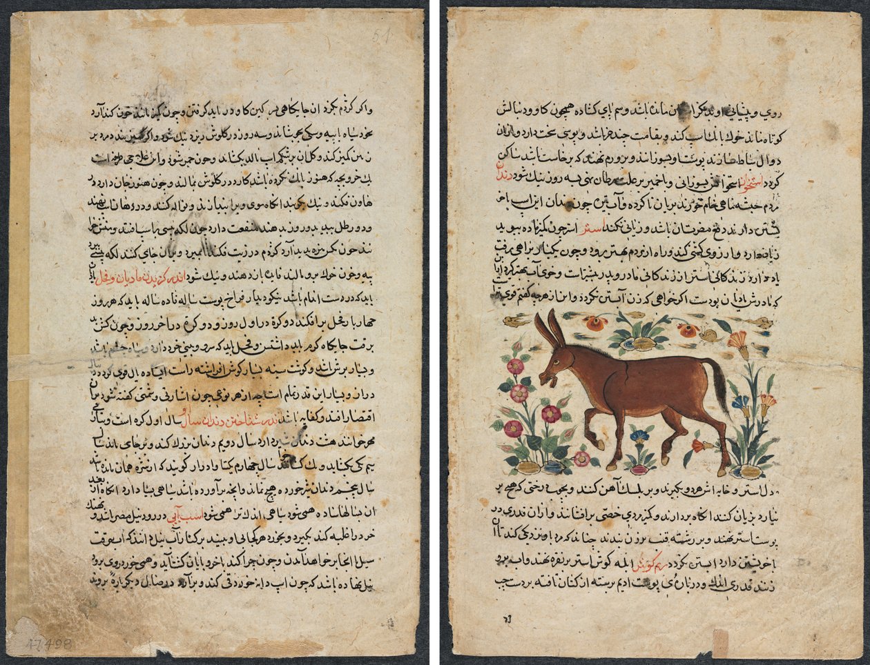 Tekstisivu, persialainen proosa (Recto); khar (aasi) (verso) tekijältä Unknown artist