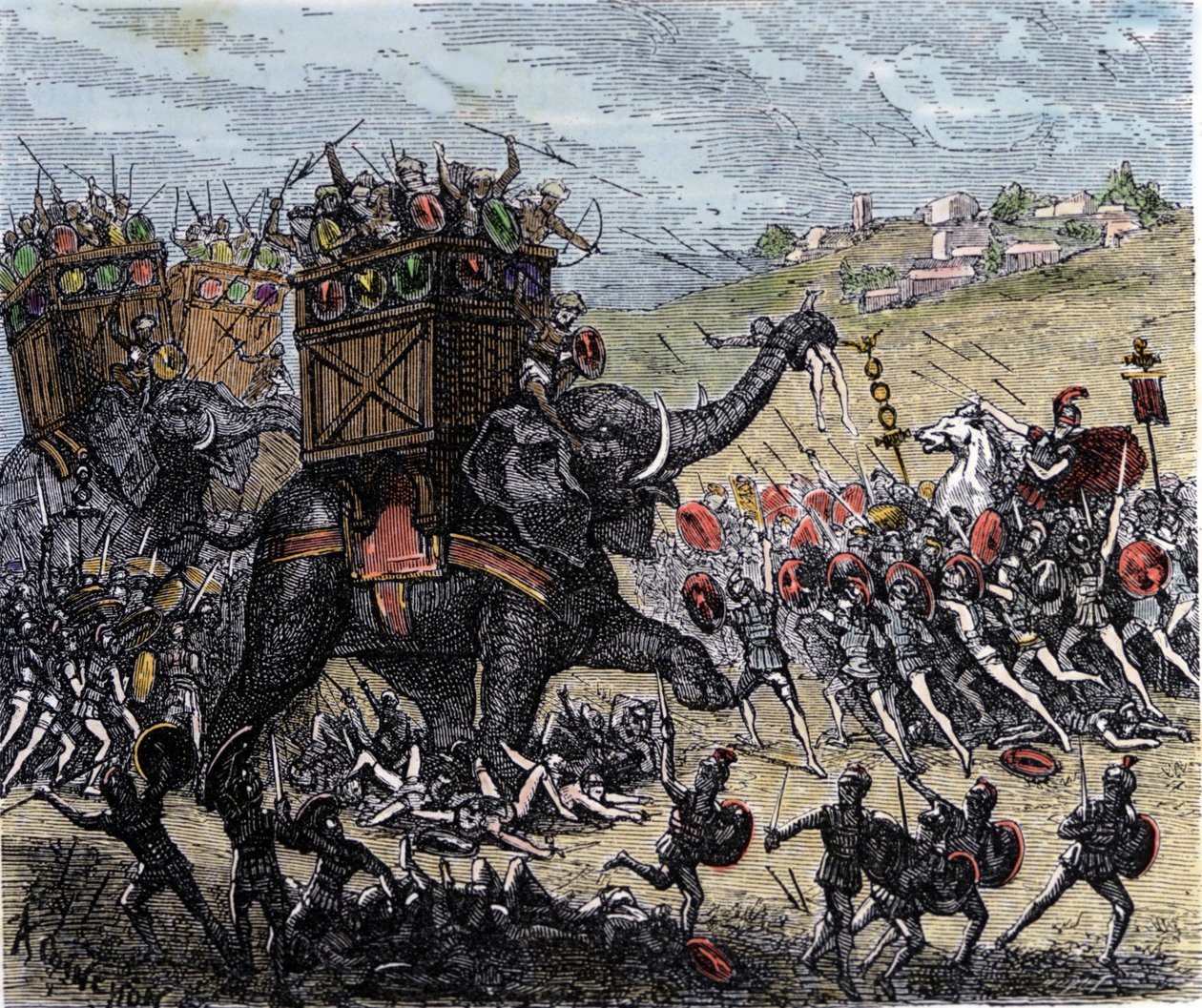 Afrikkalainen Scipio voitti Zaman taistelun (Afrikka, toinen puunilaissota, 202 eKr.) Hannibal Barcan joukoista. tekijältä Unknown artist