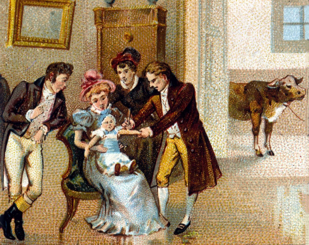 Englantilainen lääkäri Edouard Jenner (1749-1823) rokottaa isorokkoa uuden käsivarteen. Lehmä, jolta seerumi on otettu, on alareunassa. kromolitografia 1800-luvulta. tekijältä Unknown artist