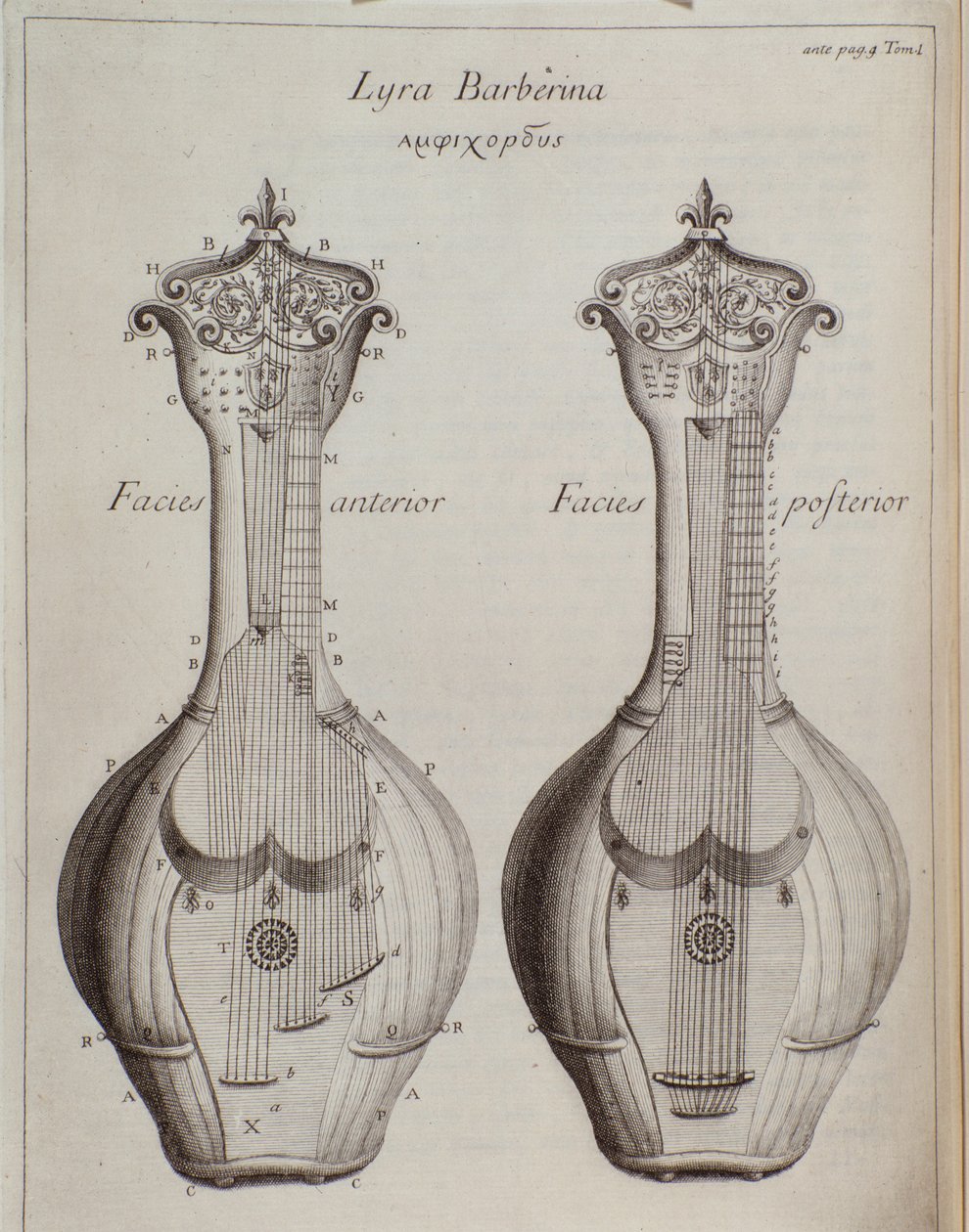 Lyra Barberina (kaiverrus tekijältä Unknown artist