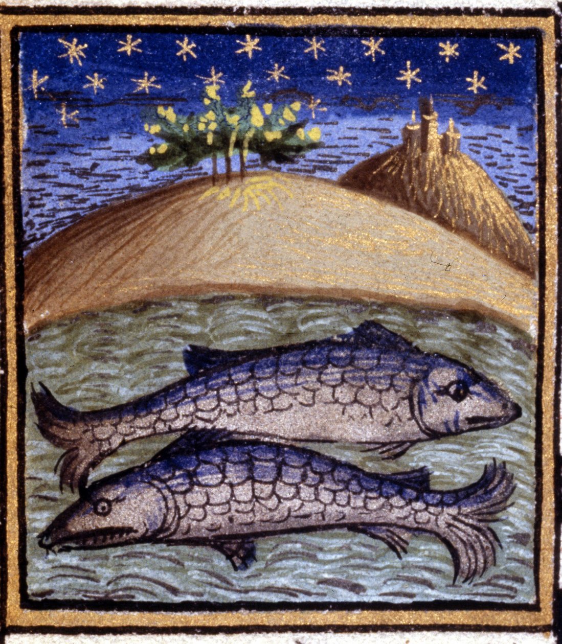 Kalat. Horoskoopin miniatyyri. 1500-luvun käsikirjoitus. Bibl. Trivulziana, Milano. tekijältä Unknown artist