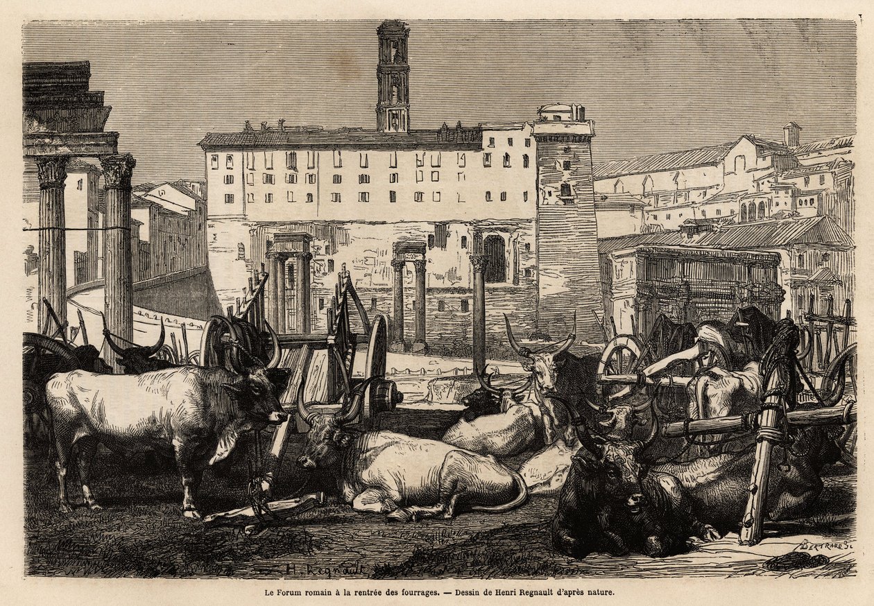 Roomalaisella foorumilla on rehuvuokraus, härät makaavat kärryjen ja muinaisten raunioiden keskellä. Engravure pour illustrrer le voyage à Rome, Francis Wey, 1864-1868, julkaistu "" Le tour du monde""" 1869, toimittanut Edouard Charton, painos Hachette, tekijältä Unknown artist