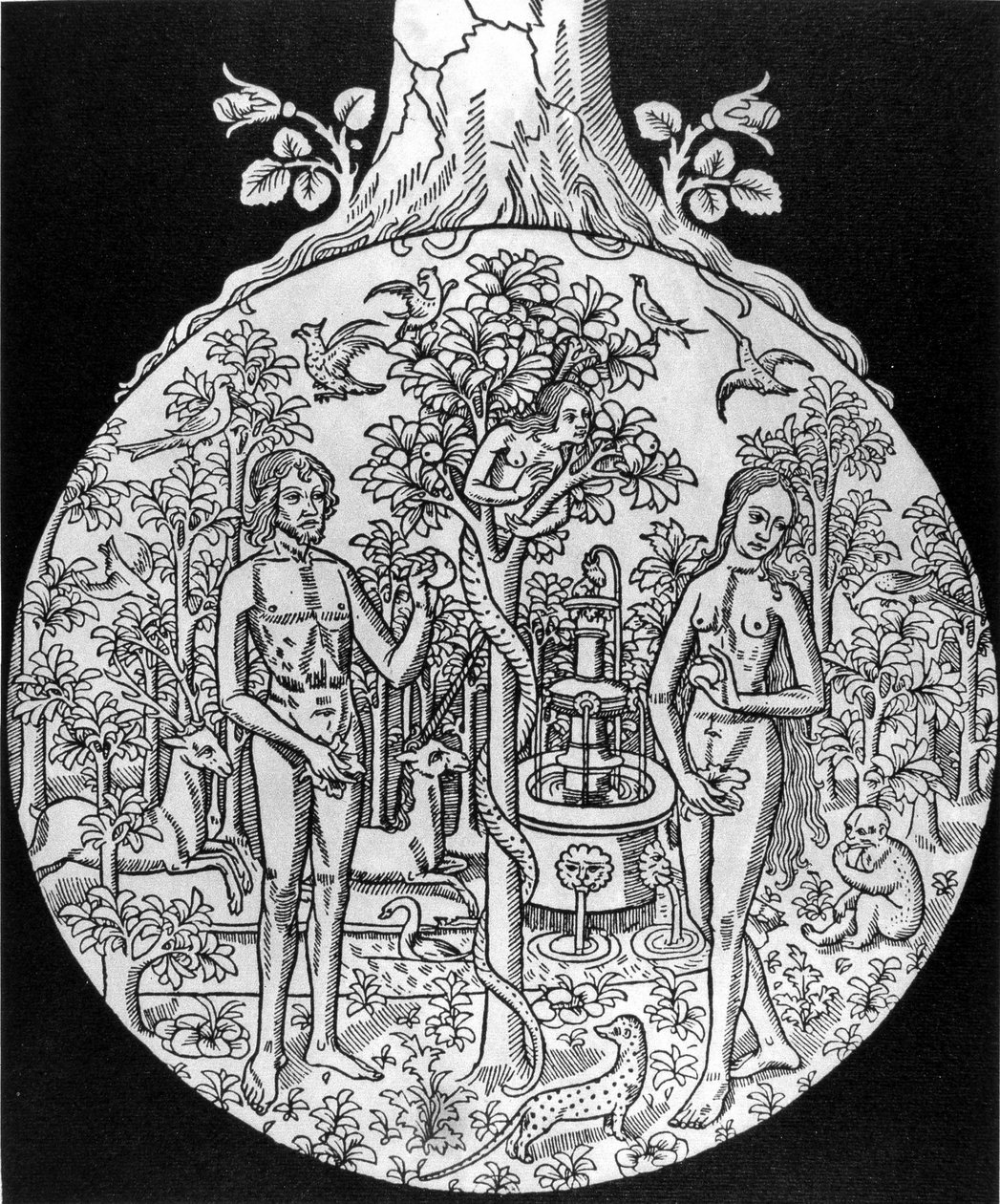 Tieteen puu (Aadam ja Eeva paratiisissa) - kaiverrus, deb. 1500-luvulla Jean Adhemarin teoksessa L