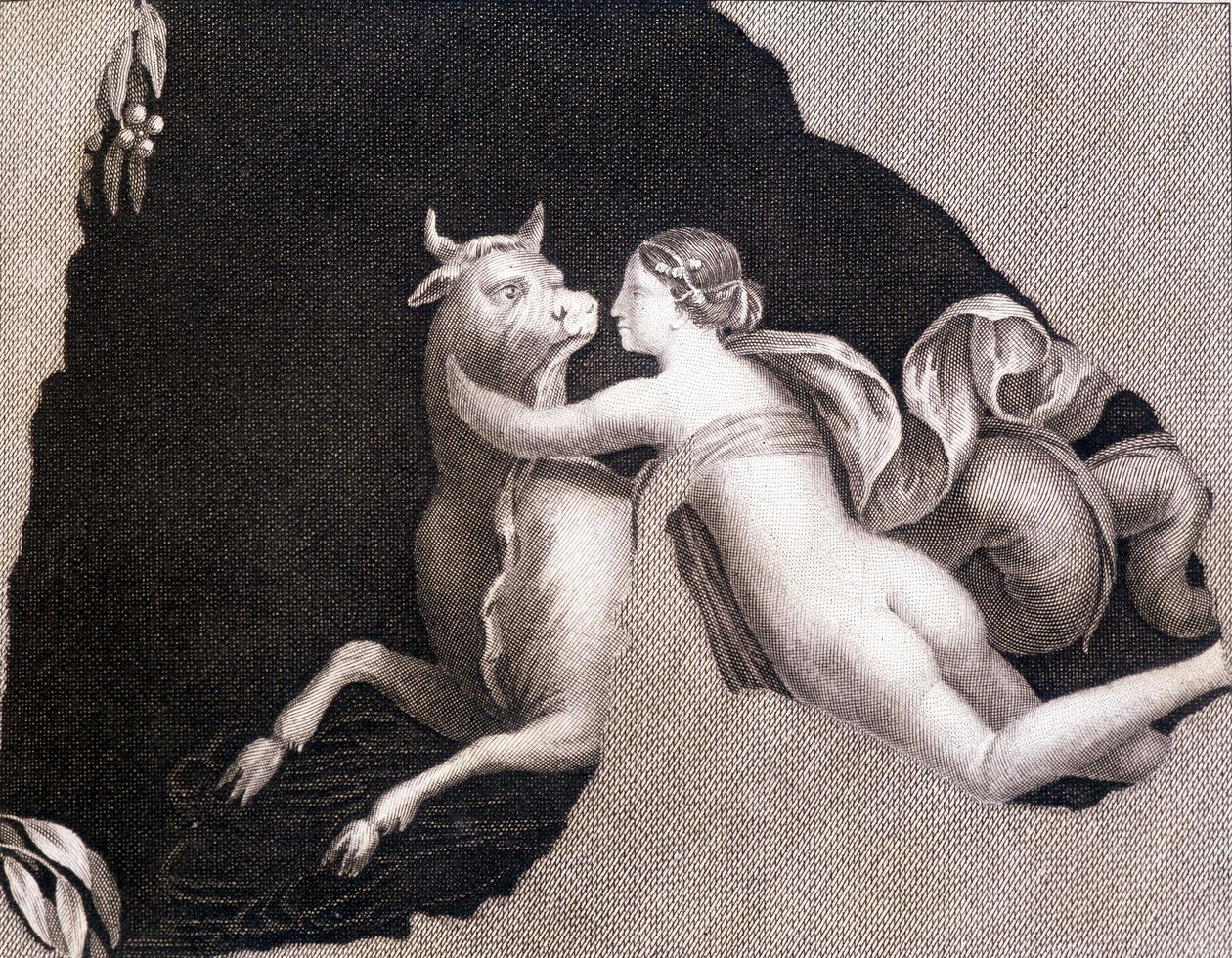 Euroopan sieppaus - kaiverrus tekijältä Unknown artist