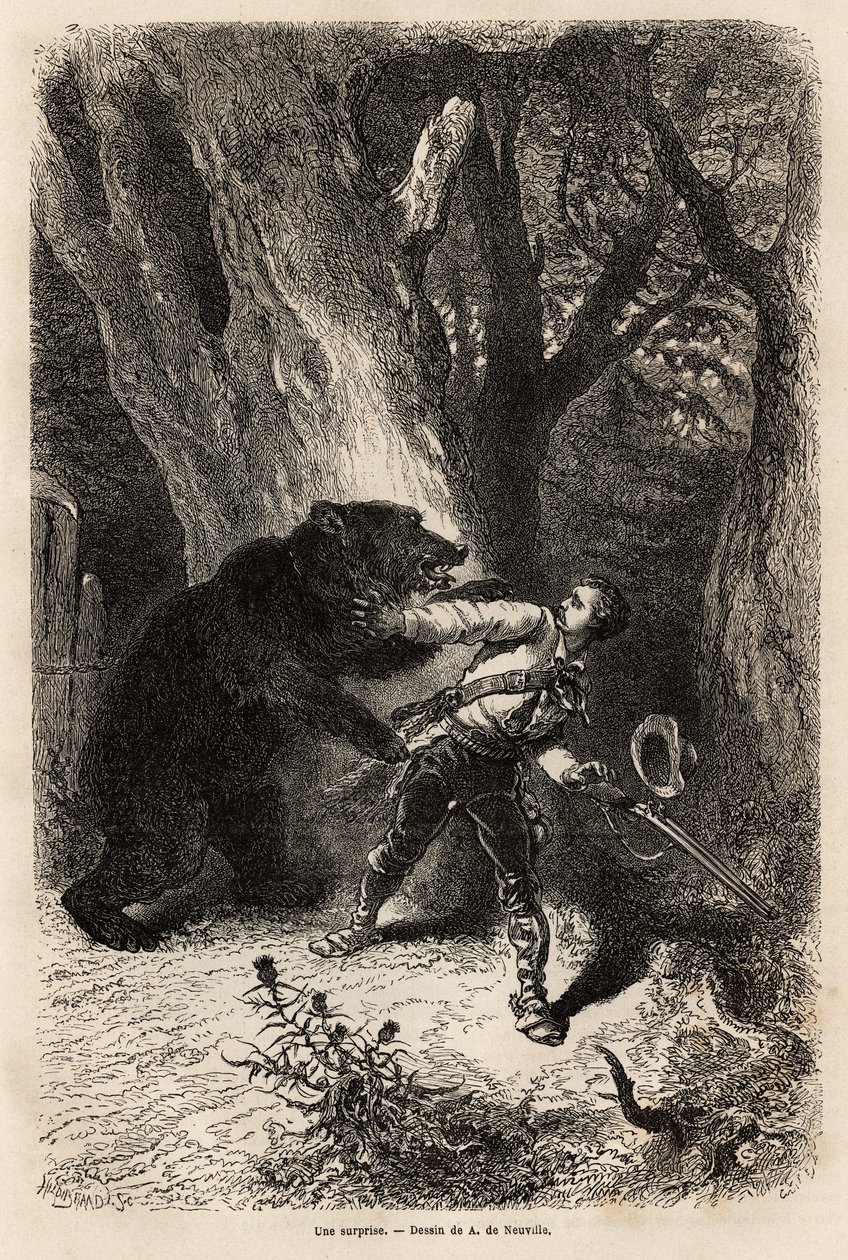 Kirjoittaja on Jacksonvillen ympärillä retken aikana yllättynyt metsässä kotikarhusta ja ketjusta. Kaiverrus havainnollistamaan tarinaa neljä kuukautta Floridassa, Achille Pousselgue vuosina 1851-1852, julkaistu "" Le tour du monde" -lehdessä 1870-1871, to tekijältä Unknown artist