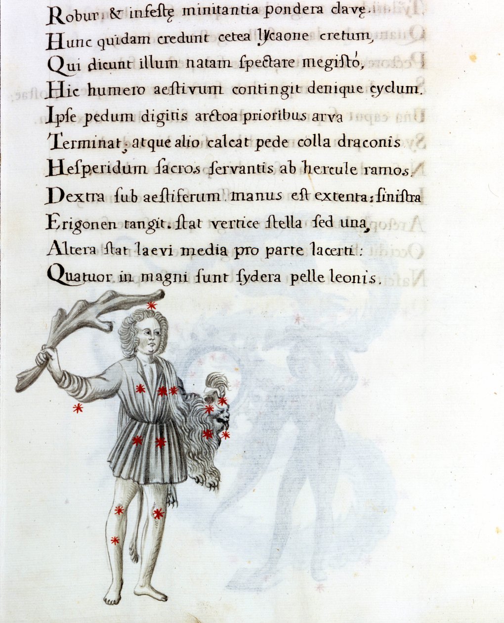 Esitetty tähdistö on Bouvier (tai Boots), joka tukee Berenicen hiuksia vasemmalla kädellä. Sivu 1700-luvun käsikirjoituksesta, joka perustuu Biasino da Parman (Parman Blaise) (1425-1457) alkuperäiseen käsikirjoitukseen "Astronomica" tekijältä Unknown artist