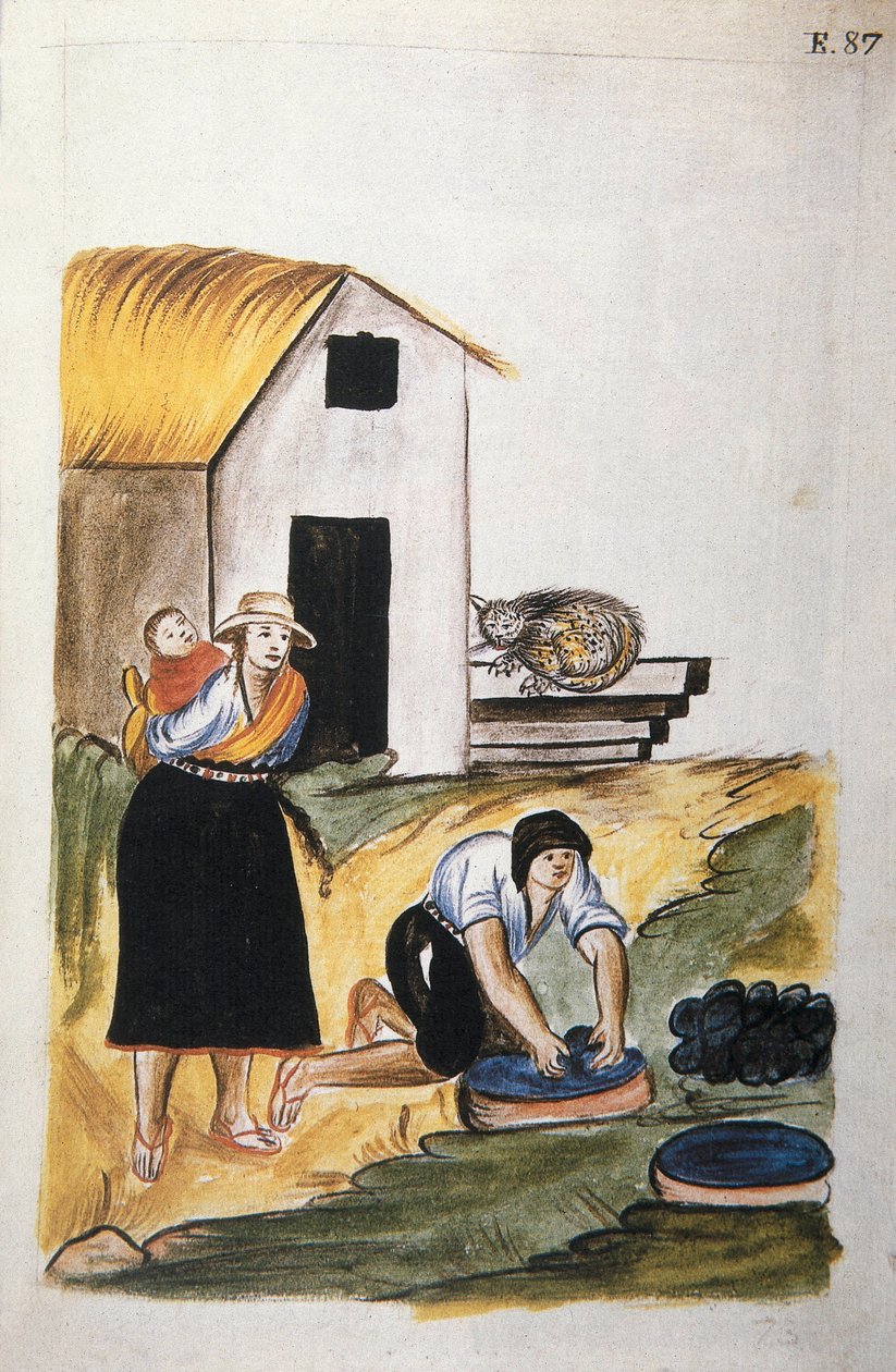 Villan värjäys Baltazar Martinez Companionin ja Trujillon piispan (1782-1785) Bujandan kirjasta "Trujillo of Peru" tai "Codex Martinez Companion" tekijältä Unknown artist