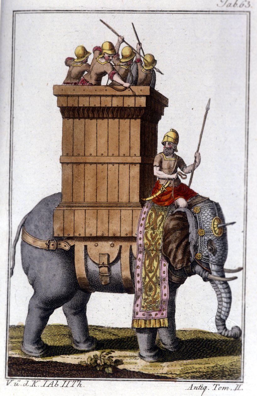 Elefantti, jota karthagolaiset käyttivät eläimenä työhön ja sotaan. kaiverrus - in "" Enciclopedia universale illustrata"" tekijältä Unknown artist