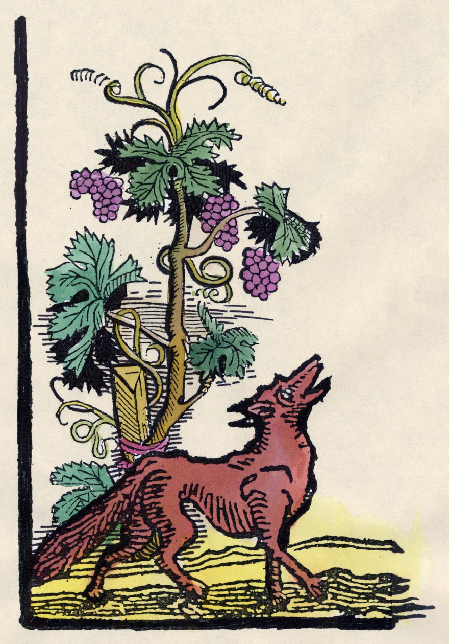 Kettu ja viinirypäleet. Fable of Asope (1700-luvun kaiverrus) tekijältä Unknown artist