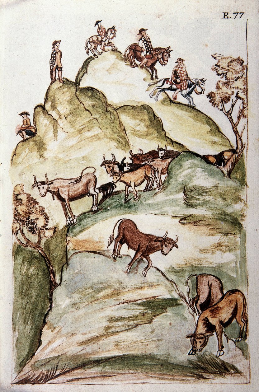 Lehmien suojelijat, jotka piirittävät lehmien ryhmän vuorilla saadakseen ne kiinni, Baltazar Martinez Companionin ja Trujillon piispan (1782-1785) Bujandan kirjasta "Trujillo del Peru" tai "Codex Martinez Companion" tekijältä Unknown artist