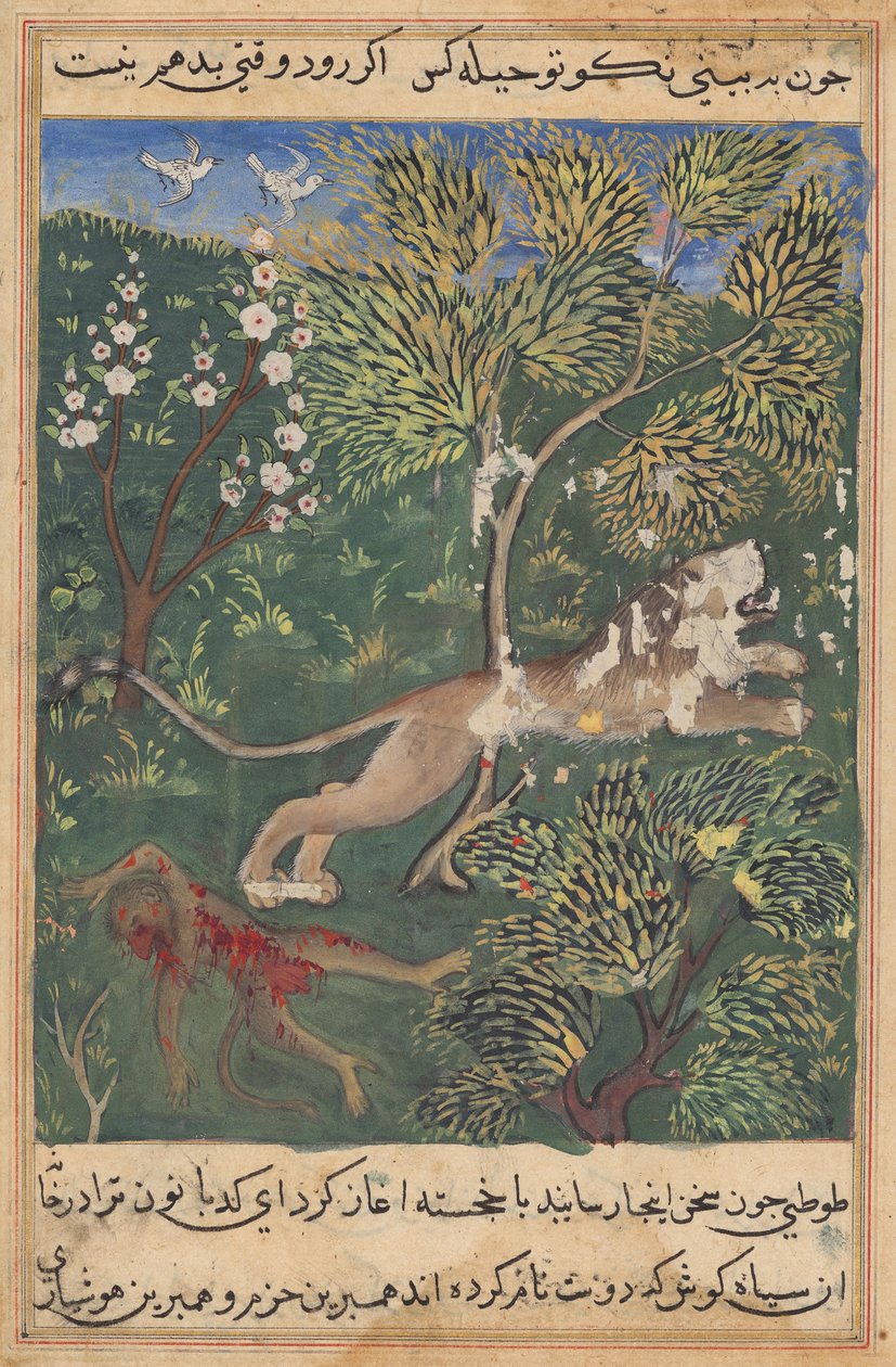 Leijona, joka epäilee apinan petosta, surmaa apinan ja pakenee Tuti-namasta (Papukaijan tarinat): Kaksikymmentäyhdeksäs yö tekijältä Unknown artist