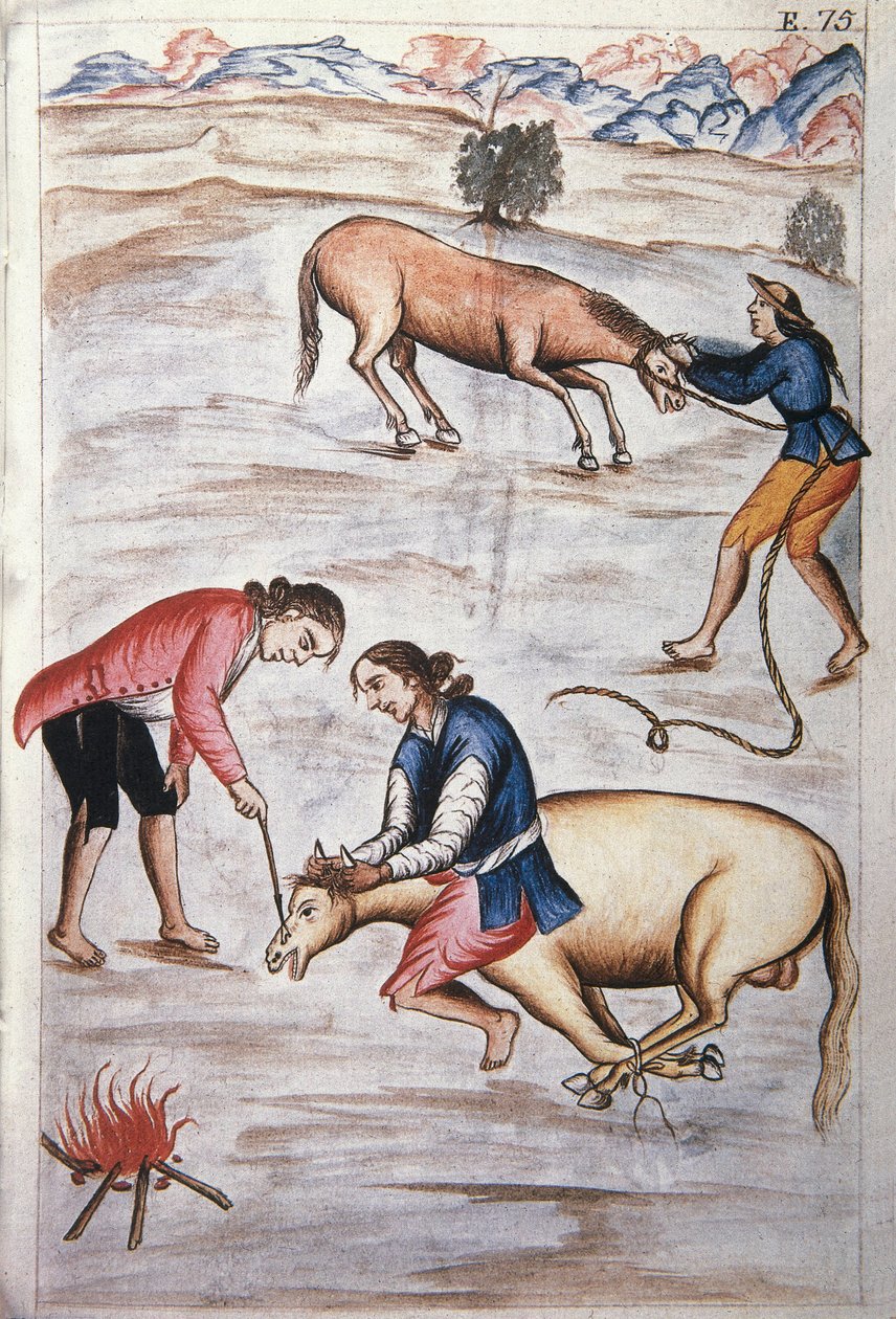 Tamman punainen rautamerkki, Baltazar Martinez Companionin ja Trujillon piispan (1782-1785) Bujandan kirjasta "Trujillo del Peru" tai "Codex Martinez Companion" tekijältä Unknown artist