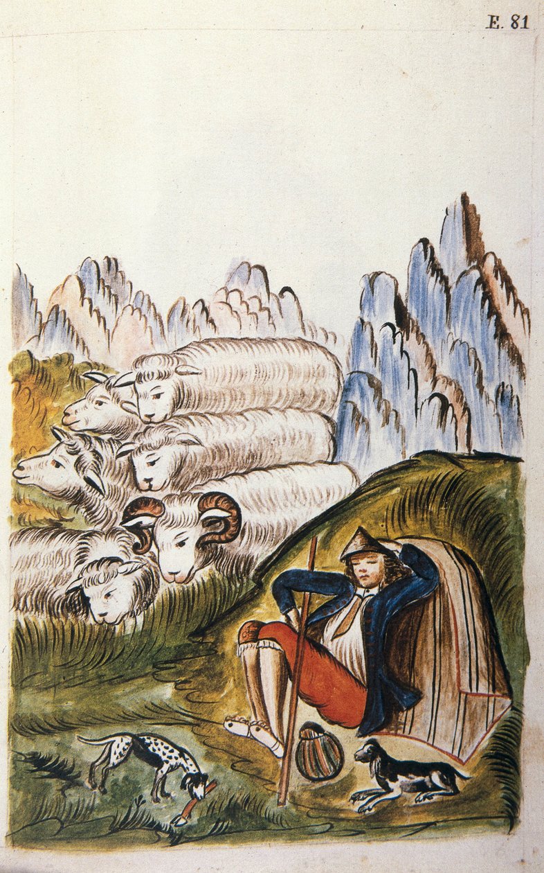 Paimen ja hänen lammaslaumansa, Baltazar Martinez Companionin ja Trujillon piispan (1782-1785) Bujandan kirjasta "Trujillo del Peru" tai "Codex Martinez Companion" tekijältä Unknown artist