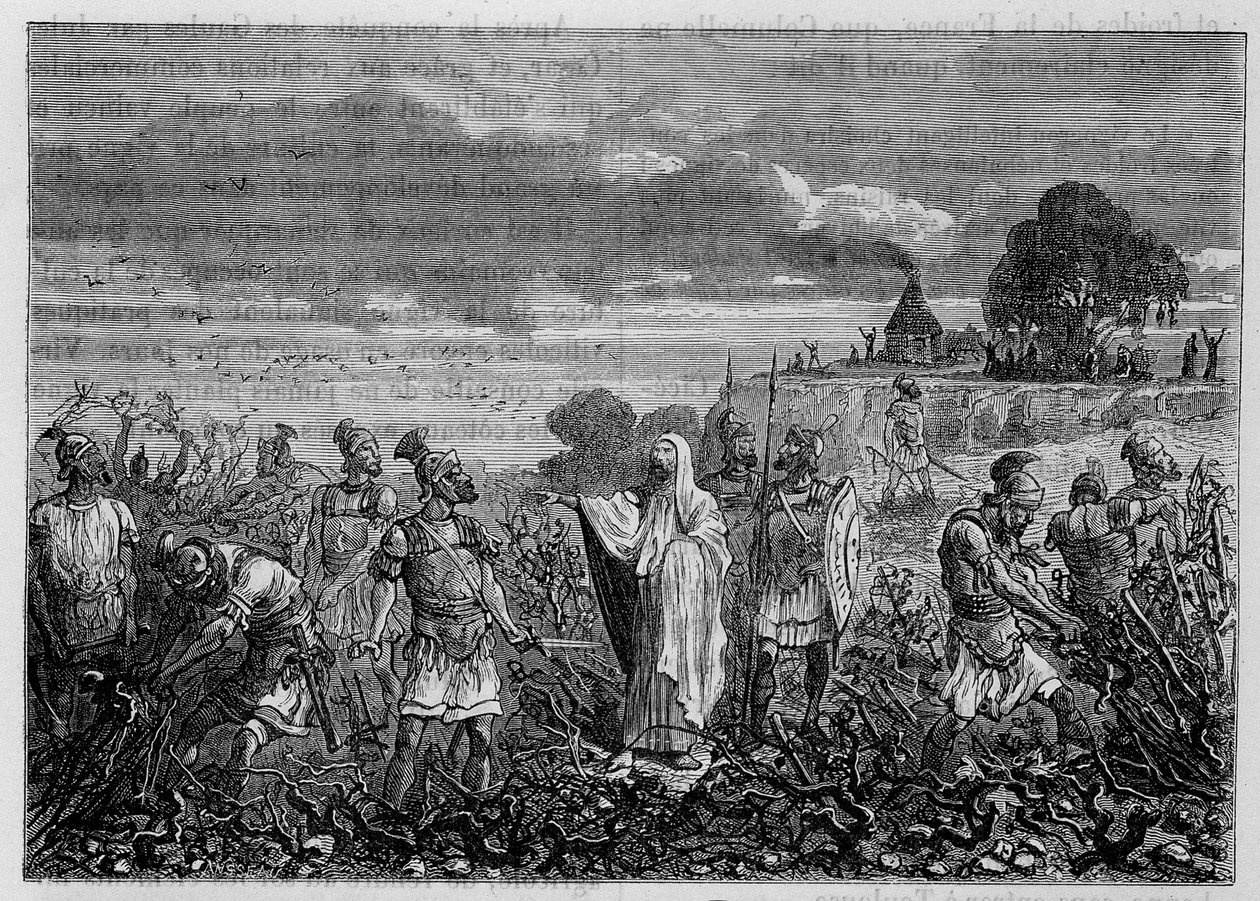 Gallialaisissa keisari Domitianuksen käskystä juurineet viiniköynnökset - Louis Figuierin teoksessa "Teollisuuden ihmeet", Pariisi tekijältä Unknown artist