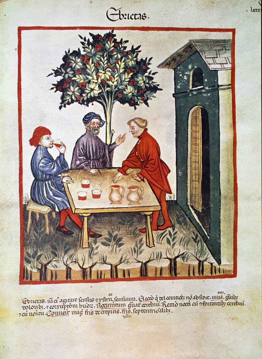Hoitaa lääkettä: "" juopuminen"" Sivu otettu osoitteesta "" Tacuinum sanitatis"" (Cod. ser. nov. 2644) Noin 1400 Wien, Itävallan kansalliskirjasto tekijältä Unknown artist
