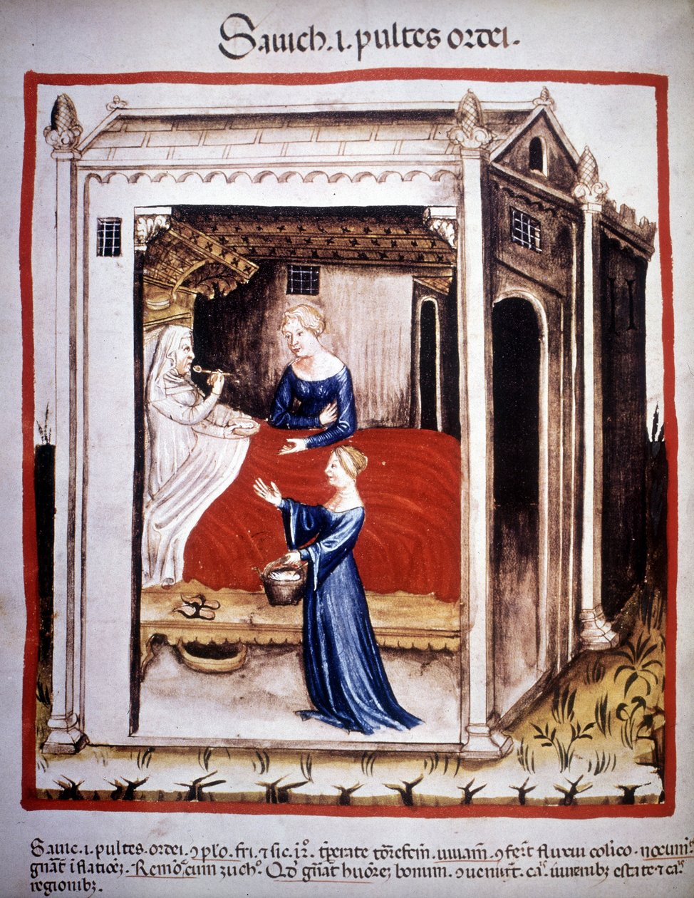Lääketieteen tutkielma "Tacuinum sanitatis"" 1300-luku: sairaanhoitajien avustama potilas. B.N, Wien. tekijältä Unknown artist