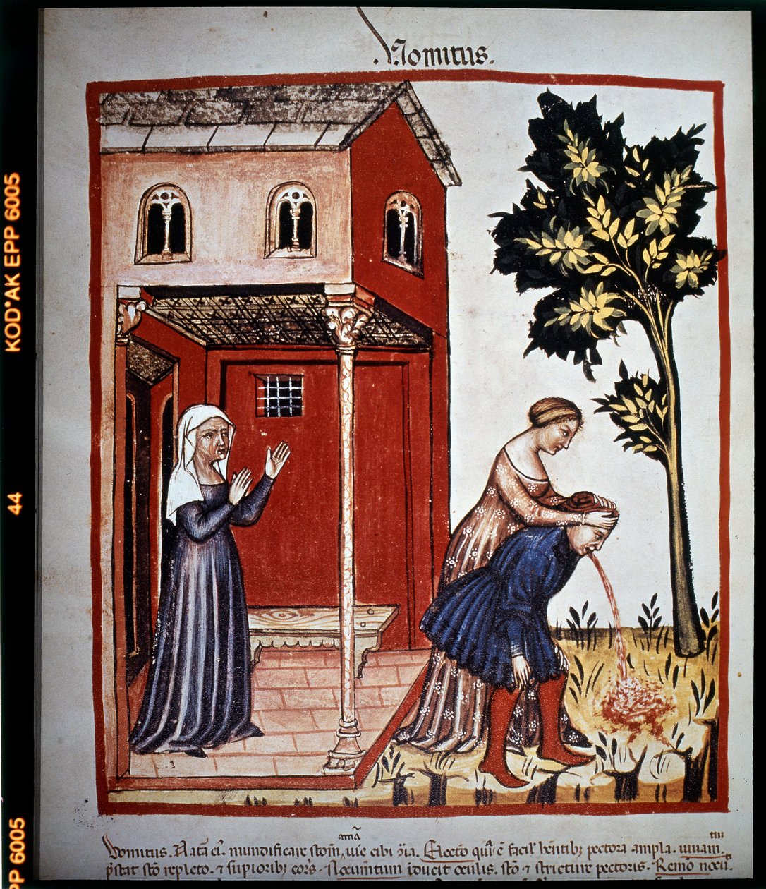 Lääketieteen tutkielma "Tacuinum sanitatis" 1300-luvulta: oksentelu. B.N, Wien. tekijältä Unknown artist
