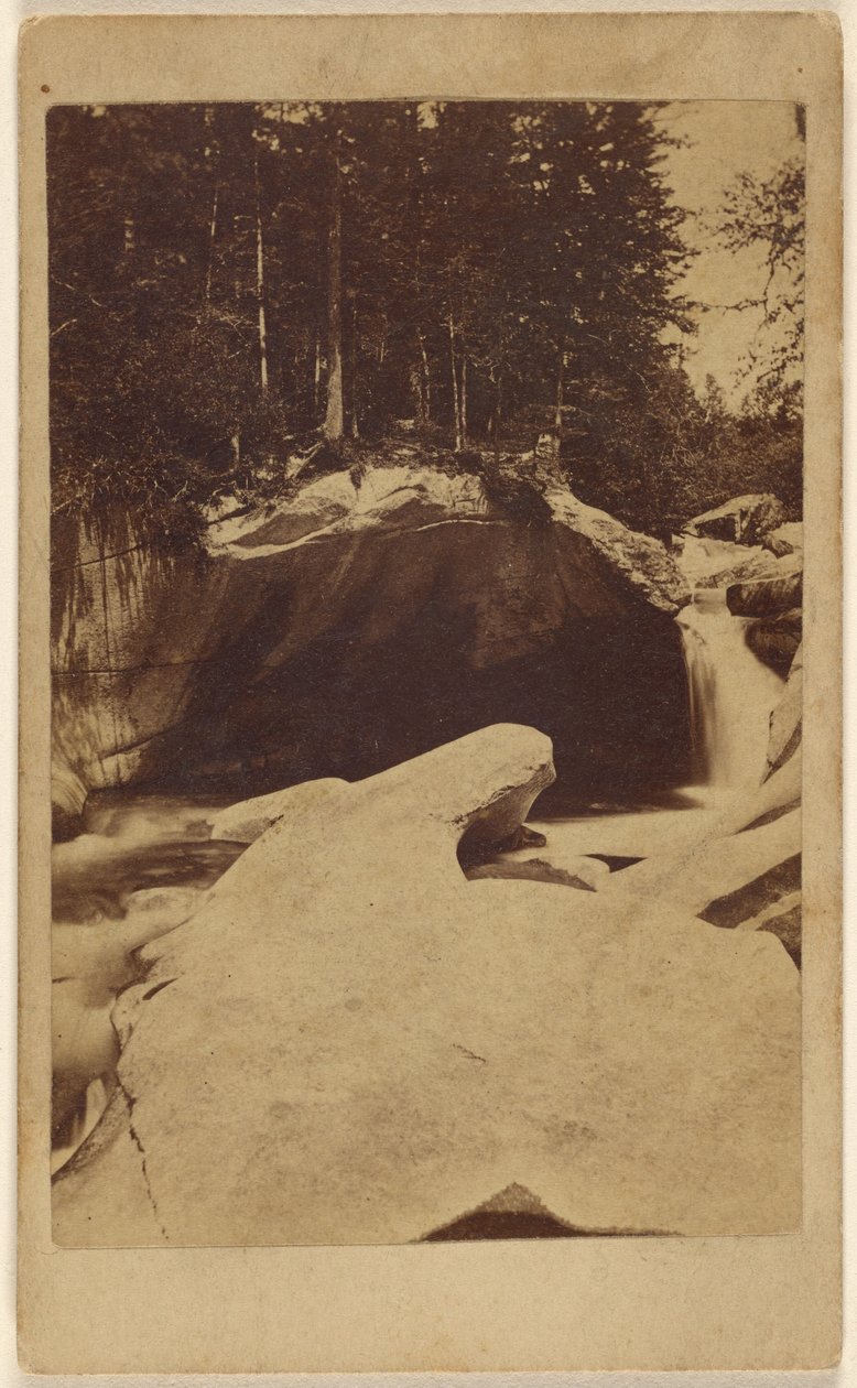[Tunnistamaton metsänäkymä, jossa on kallioita ja luola] tekijältä Unknown artist