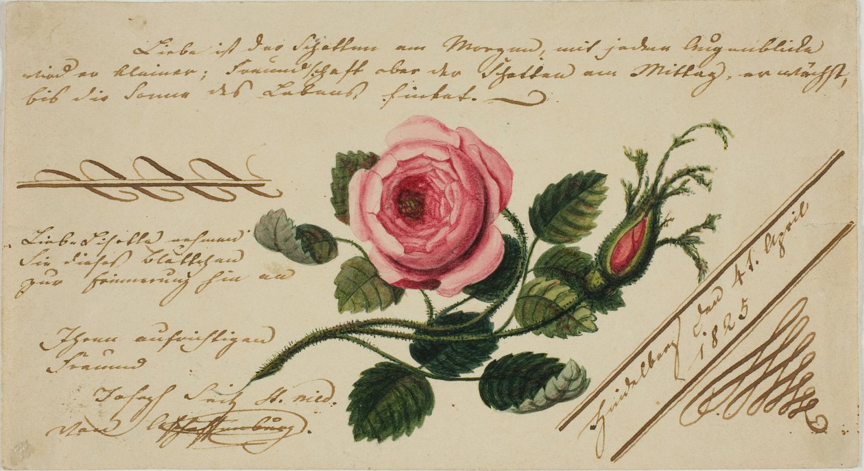 Nimetön ystävänpäivä (vaaleanpunainen kukka) tekijältä Unknown artist