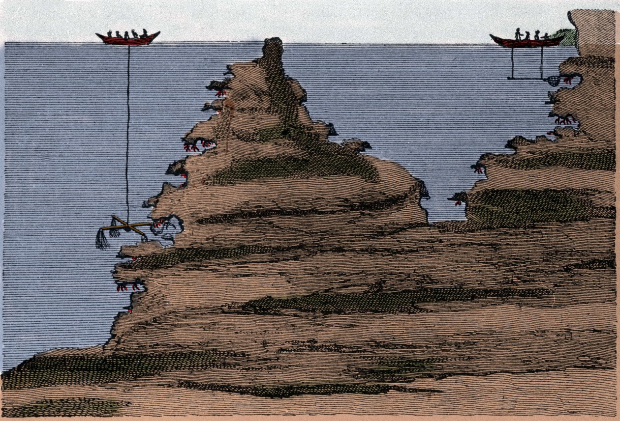 Kahdentyyppisten verkkojen käyttö korallien kalastukseen. Oikealla salabre, vasemmalla käsityö. Kaiverrus "" Physical History of the Sea" -tarinasta Marsilli, Amsterdam tekijältä Unknown artist