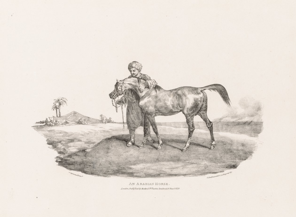 Erilaisia elämästä ja kivelle piirrettyjä aiheita: Arabian hevonen tekijältä Unknown artist