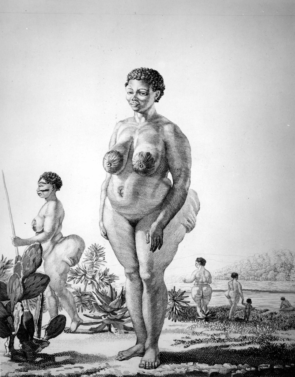 Venus Hottentote Etelä-Afrikasta tekijältä Unknown artist