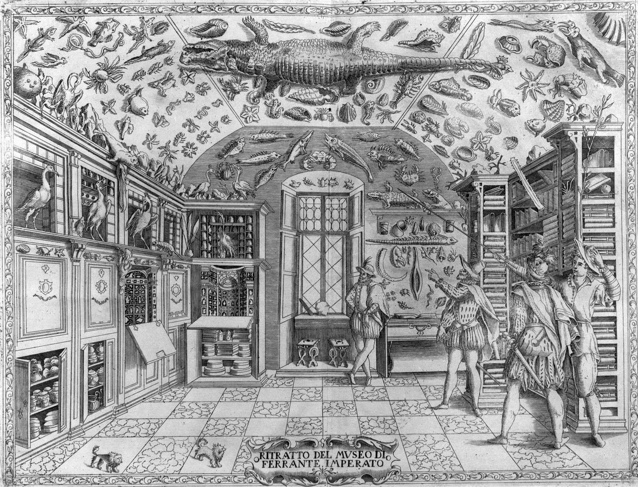 Näkymä farmaseutti Ferrante Imperaton (1550 - 1631) kurioosien museosta (kabinetista) (ensyklopedinen museo). Kaiverrus vuodelta 1678. Napolilaisen apteekin Ferrante Imperaton museo. tekijältä Unknown artist