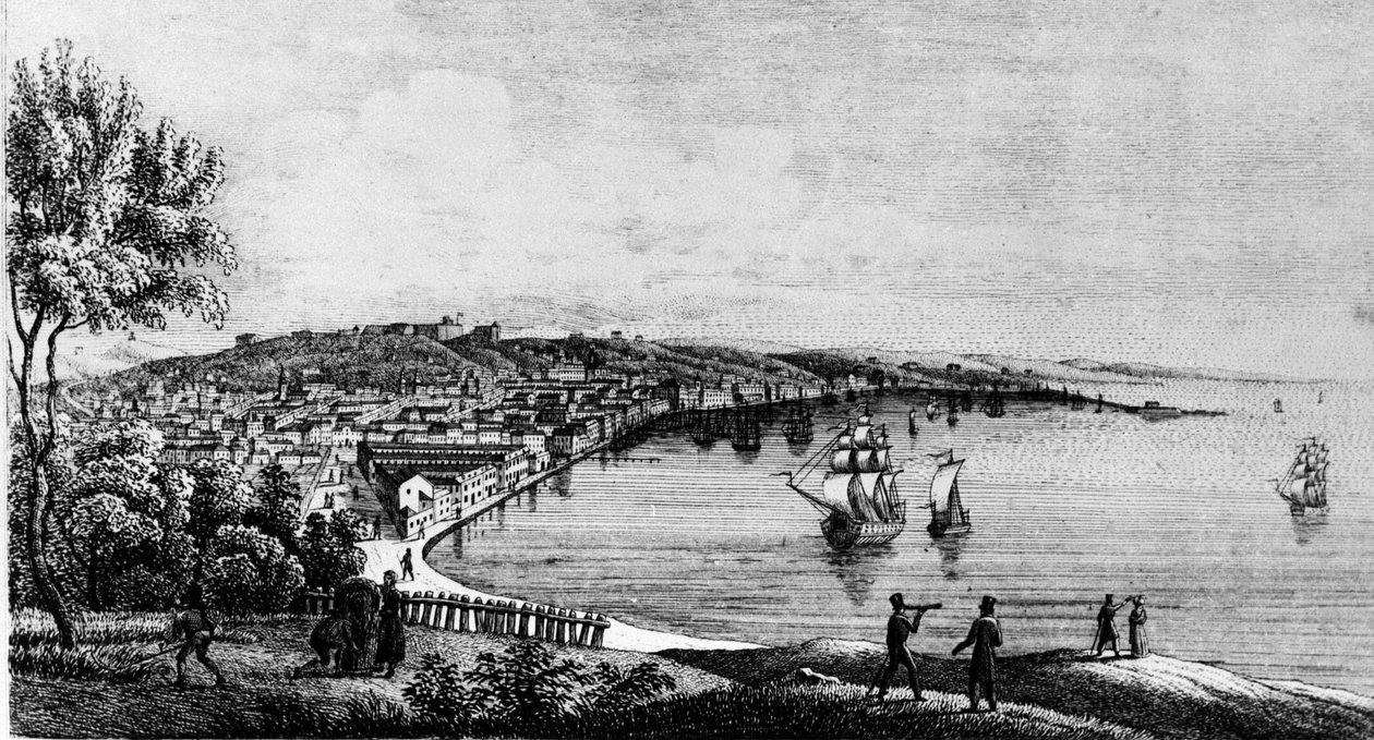 Näkymä Triesten kaupungin satamasta (Itävallan aikana), kaiverrus 1800-luvulta. tekijältä Unknown artist