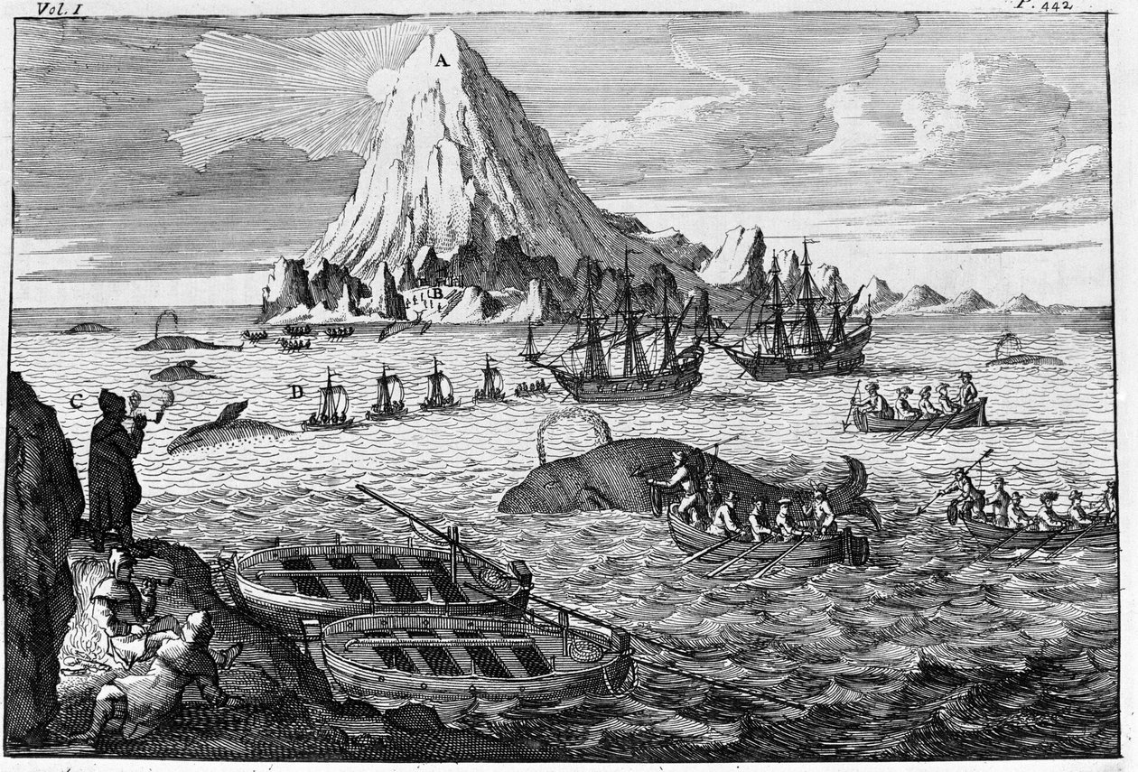 Valaanpyyntiä Jan Mayenin saarella. kaiverrus 1700-luvun alussa tekijältä Unknown artist