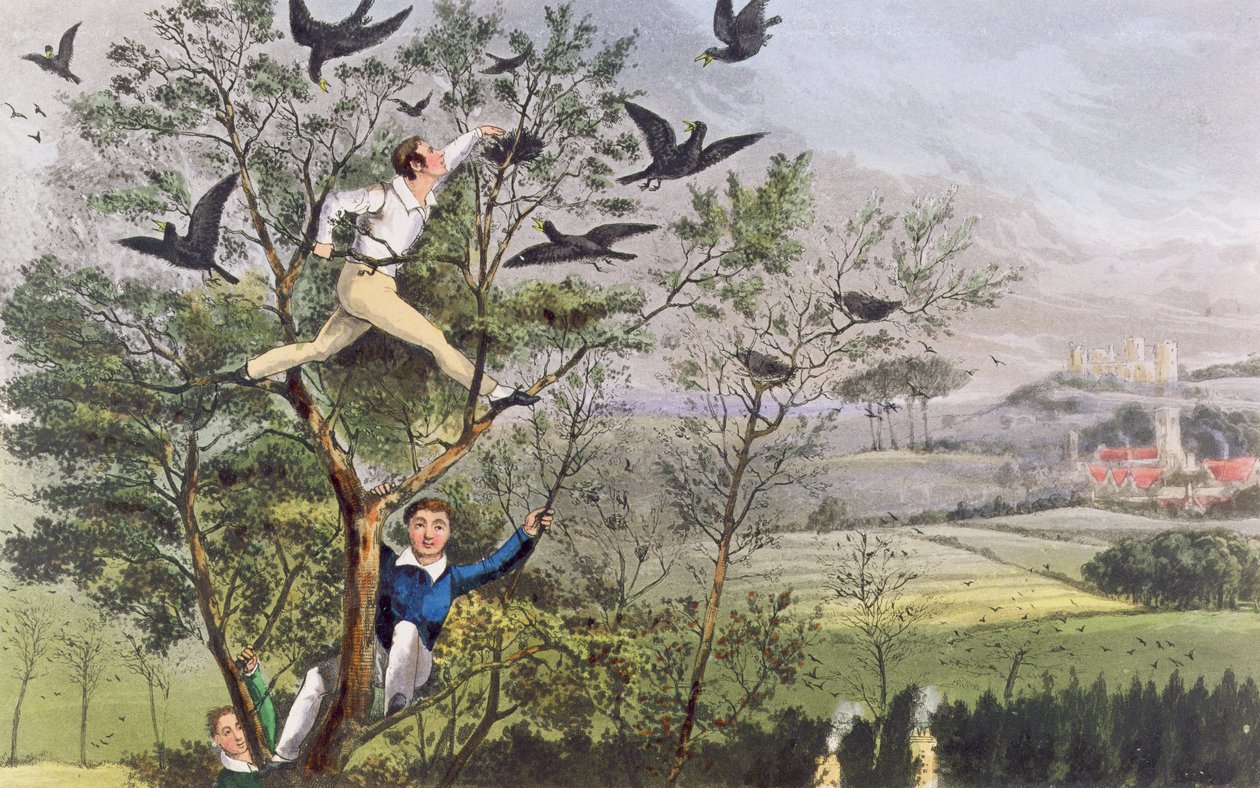 Who-Whoop! Minä tein sen - Ryöstöretki torppaan Nimrodin "Urheilijan elämästä" -teoksesta. tekijältä Unknown artist