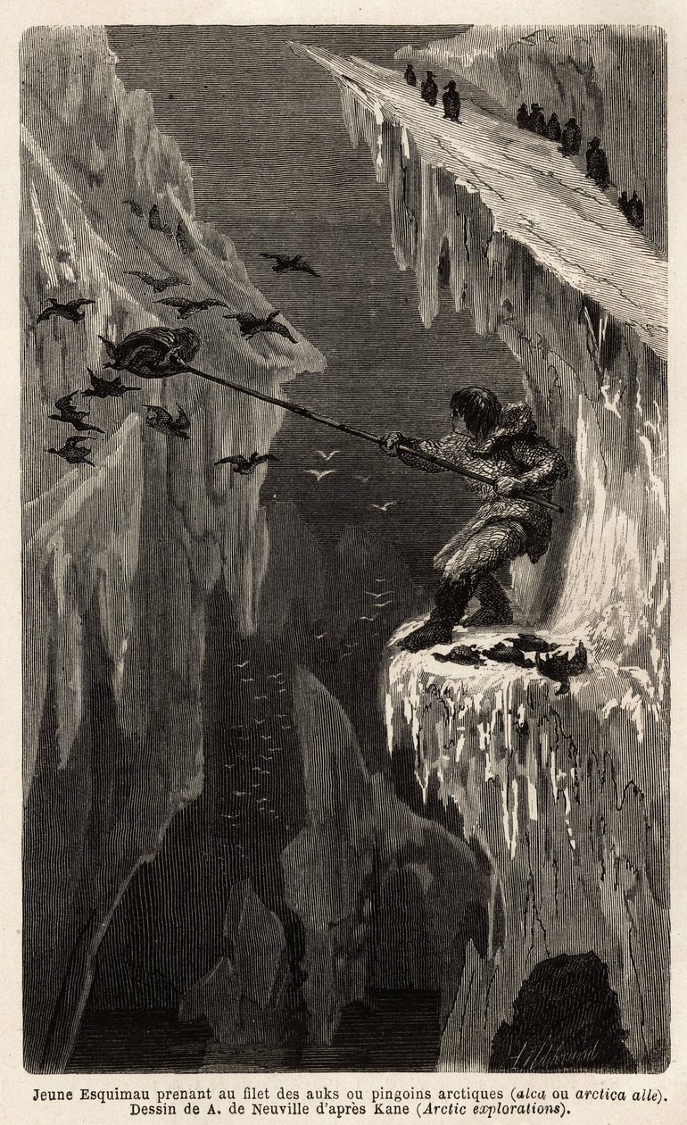 Nuori eskimau pyydystää arktisia pingviinejä. Kaiverrus havainnollistamaan matkaa arktisen navan vapaalle merelle, tohtori Hayesin, Yhdysvaltain laivaston kirurgin, vuosina 1860-1862, julkaistiin "Le tour du monde, nouveau journal des voyages", toimittanut tekijältä Unknown artist