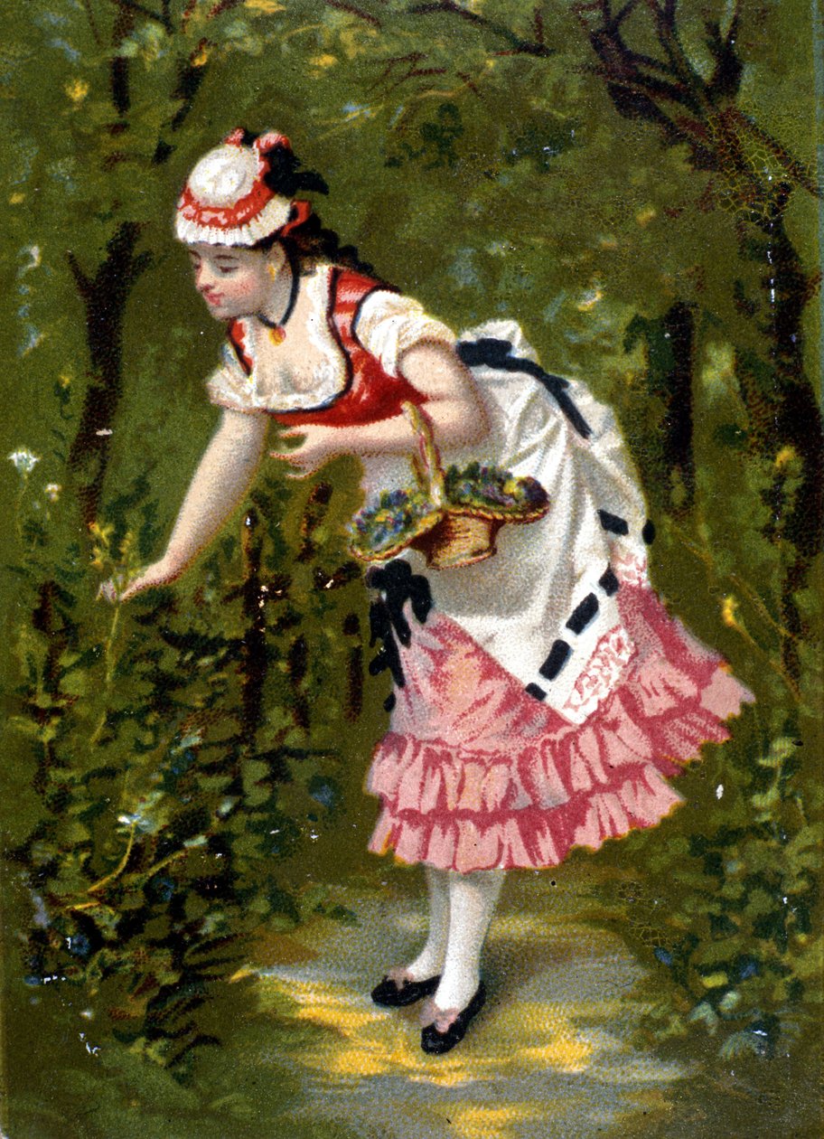 Nuori nainen poimimassa kukkia. Kromolitografia/ tekijältä Unknown artist