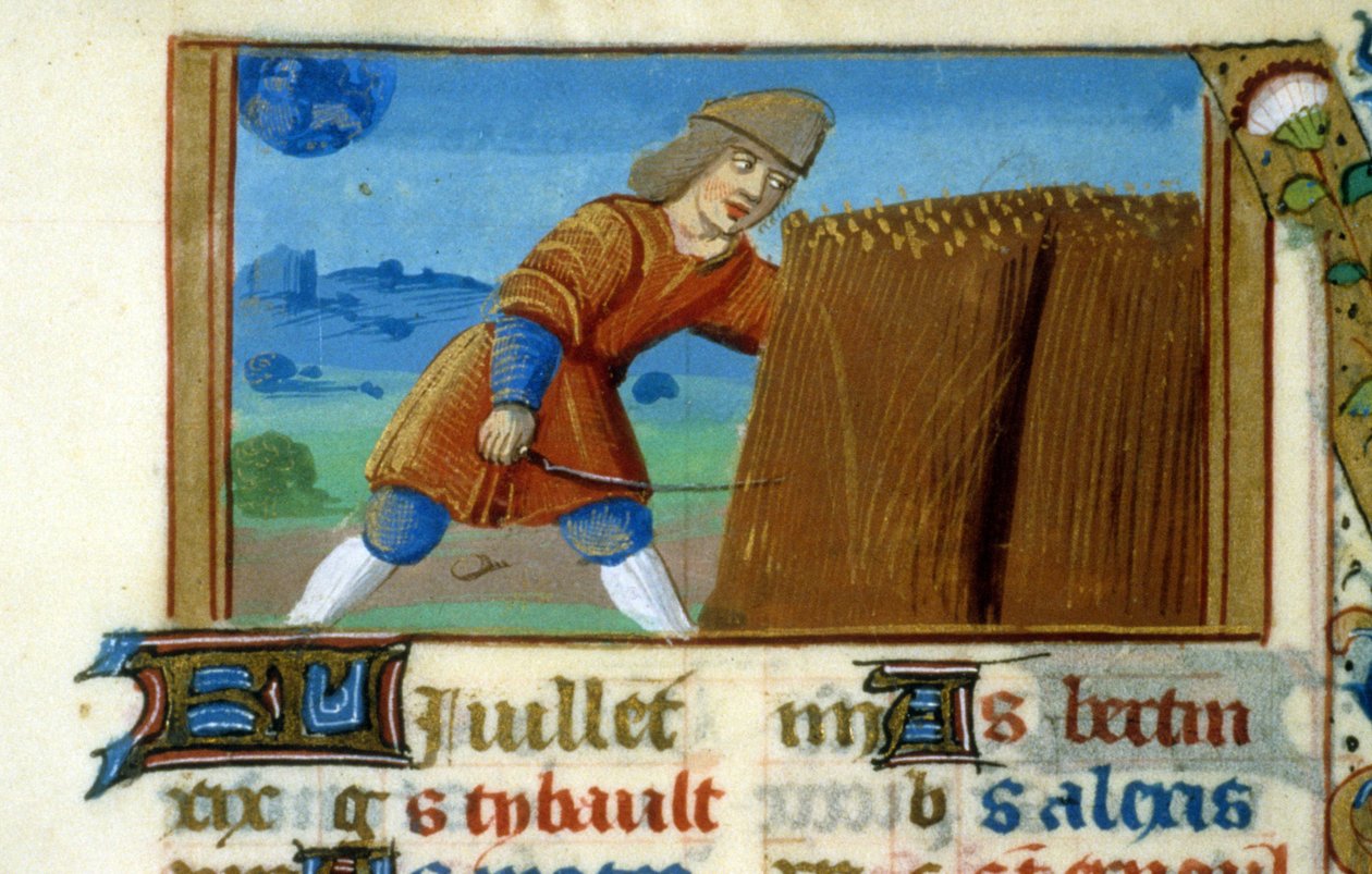 Zodiac Lion and Harvest - Keskiajan miniatyyri (viite 137, 049r): Lupapyyntö Toulousen kaupunginkirjastolta (puh: 05 62 27 66 66) tekijältä Unknown artist