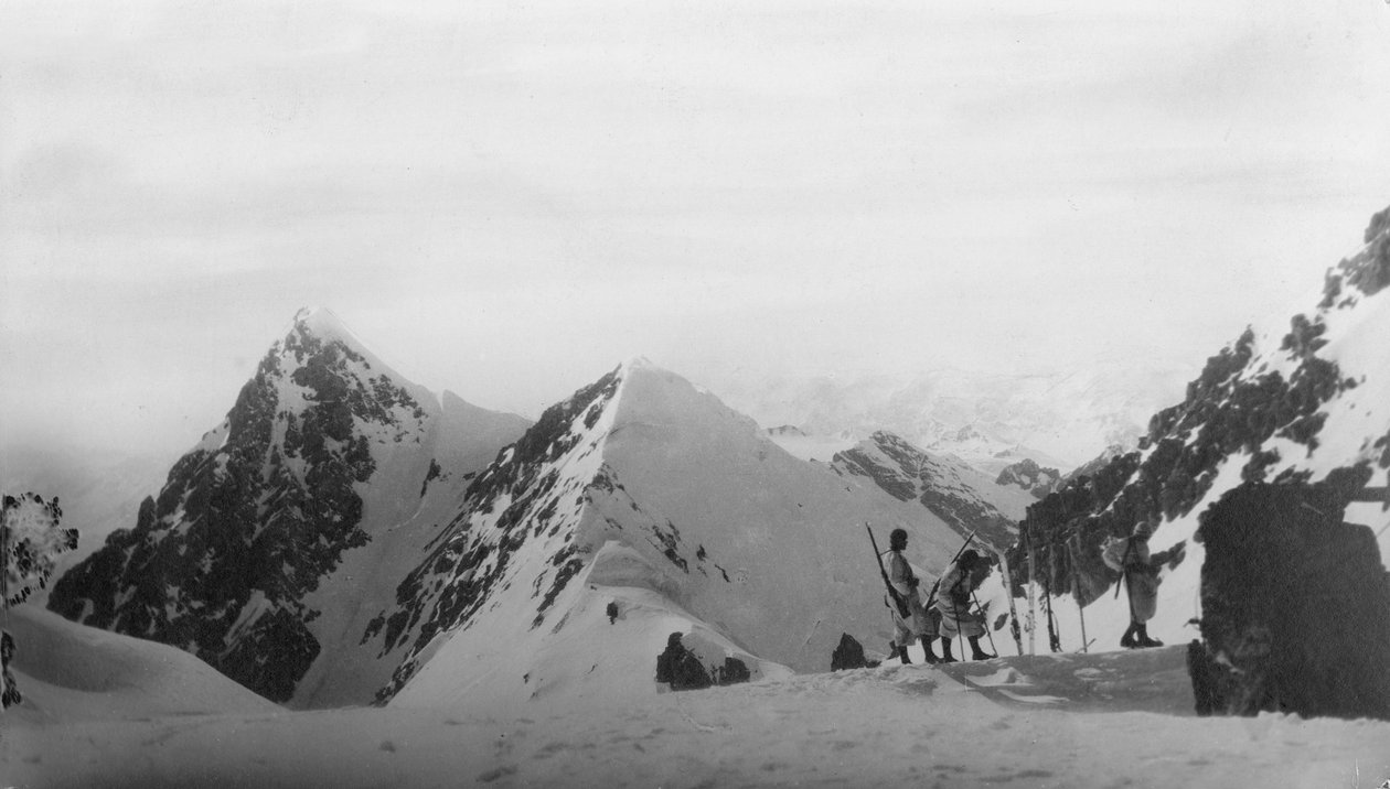 Eurooppa, Italia, Trentino Alto Adige, Bolzano, Hochforchin alppikylän suojapaikalla tekijältä Unknown photographer