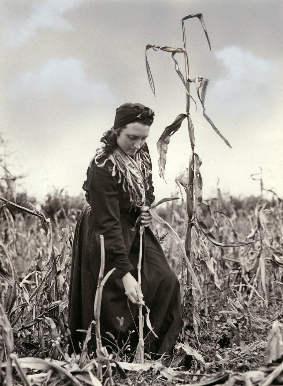 Friulian suulakepuristettu tekijältä Unknown photographer