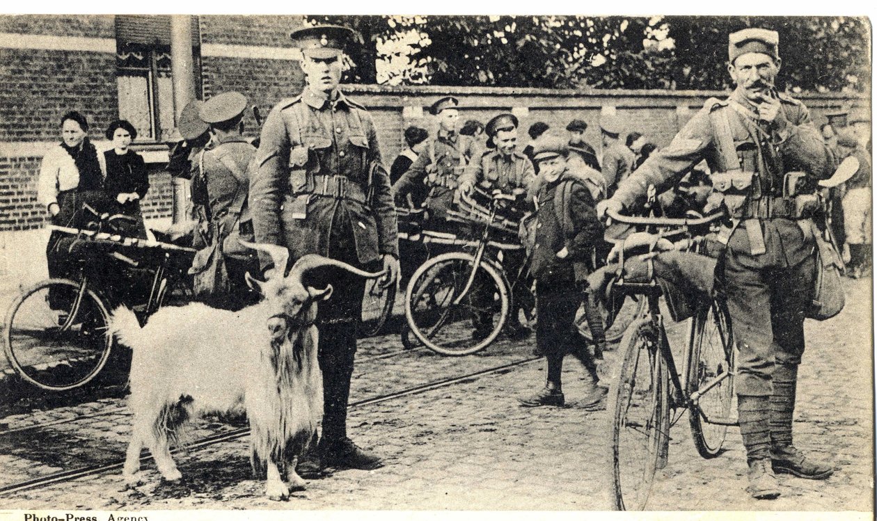 Gat: sotilaiden maskotti ensimmäisen maailmansodan aikana (1914-1918). tekijältä Unknown photographer