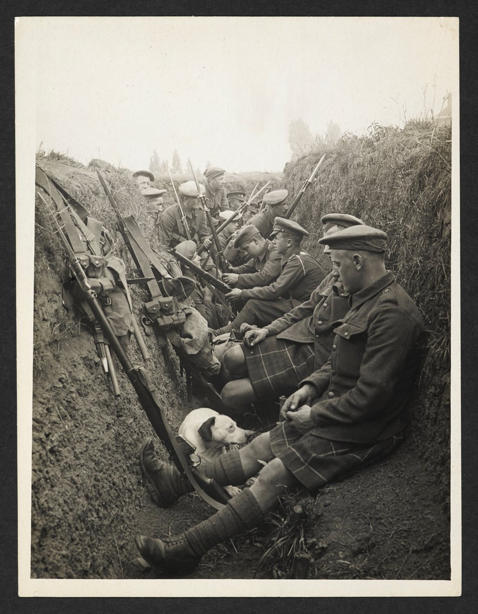 Highland Territorials -joukkoja juoksuhaudassa [La Gorgue, Ranska]. 5. elokuuta 1915. tekijältä Unknown photographer